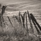 Old Fence